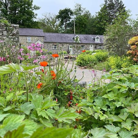 Crug Yr Eryr Isaf Villa Llandysul Екстериор снимка