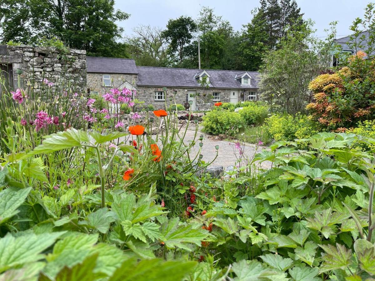 Crug Yr Eryr Isaf Villa Llandysul Екстериор снимка